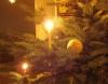 Weihnachtsbaum Licht